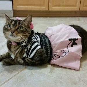 Meet your Posher, Sharon